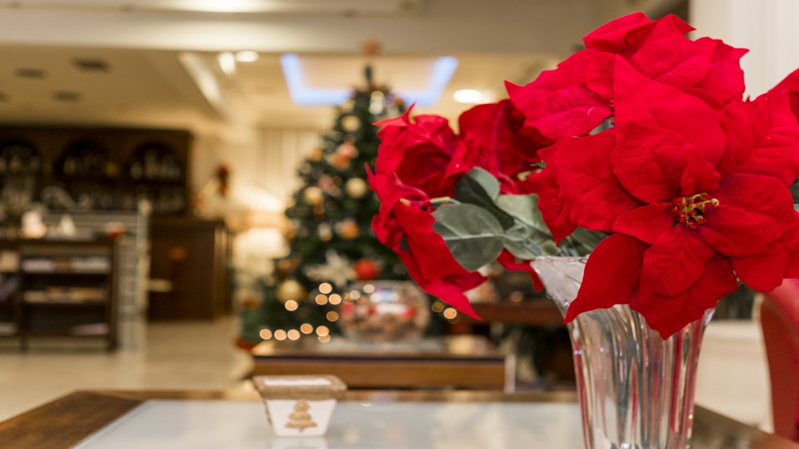 Avra Hotel Thessaloniki